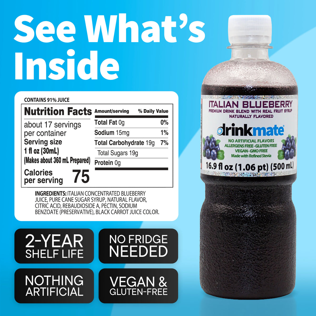 Blueberry Premium Italian Syrup