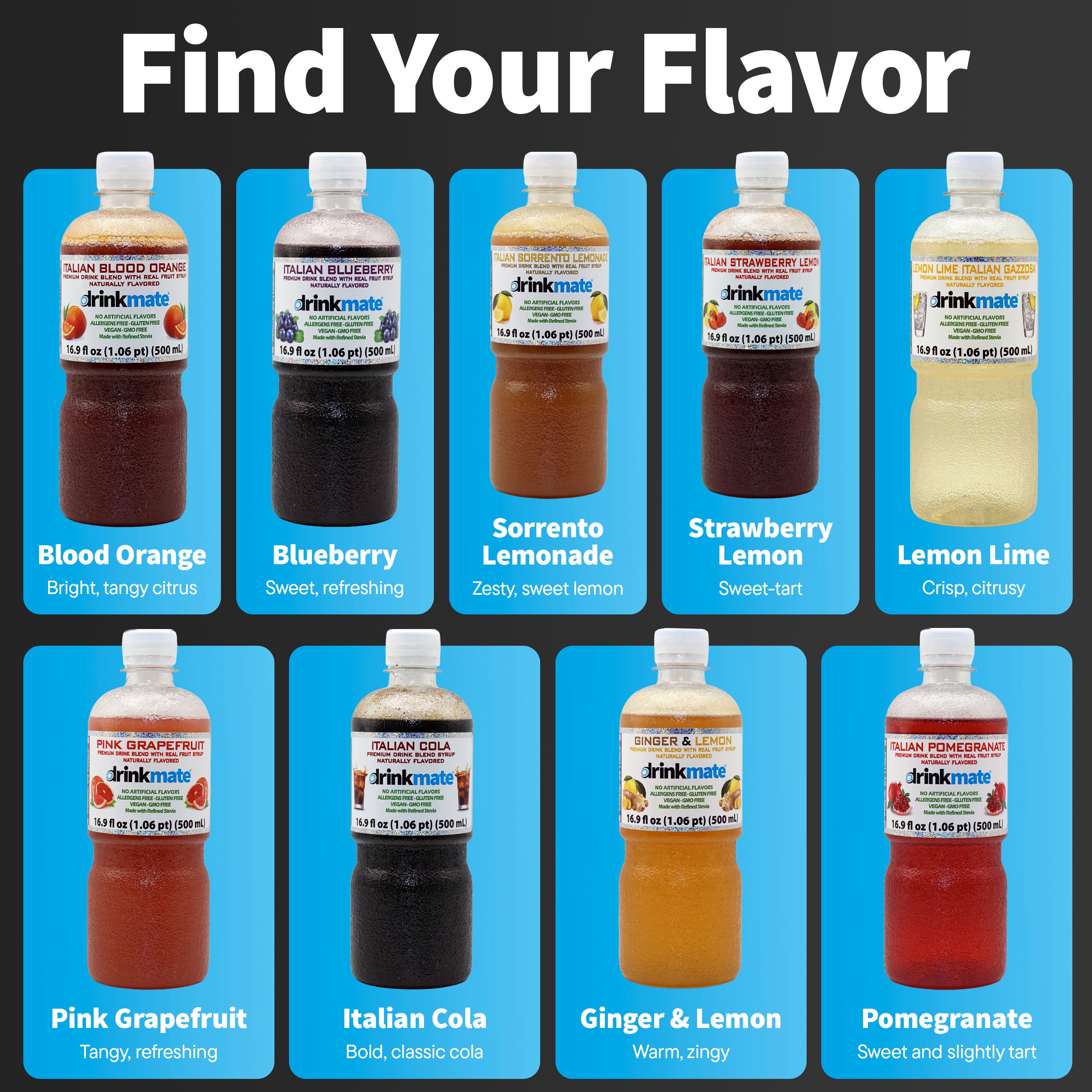 Ginger & Lemon Premium Italian Syrup – Drinkmate USA